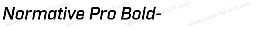 Normative Pro Bold字体转换